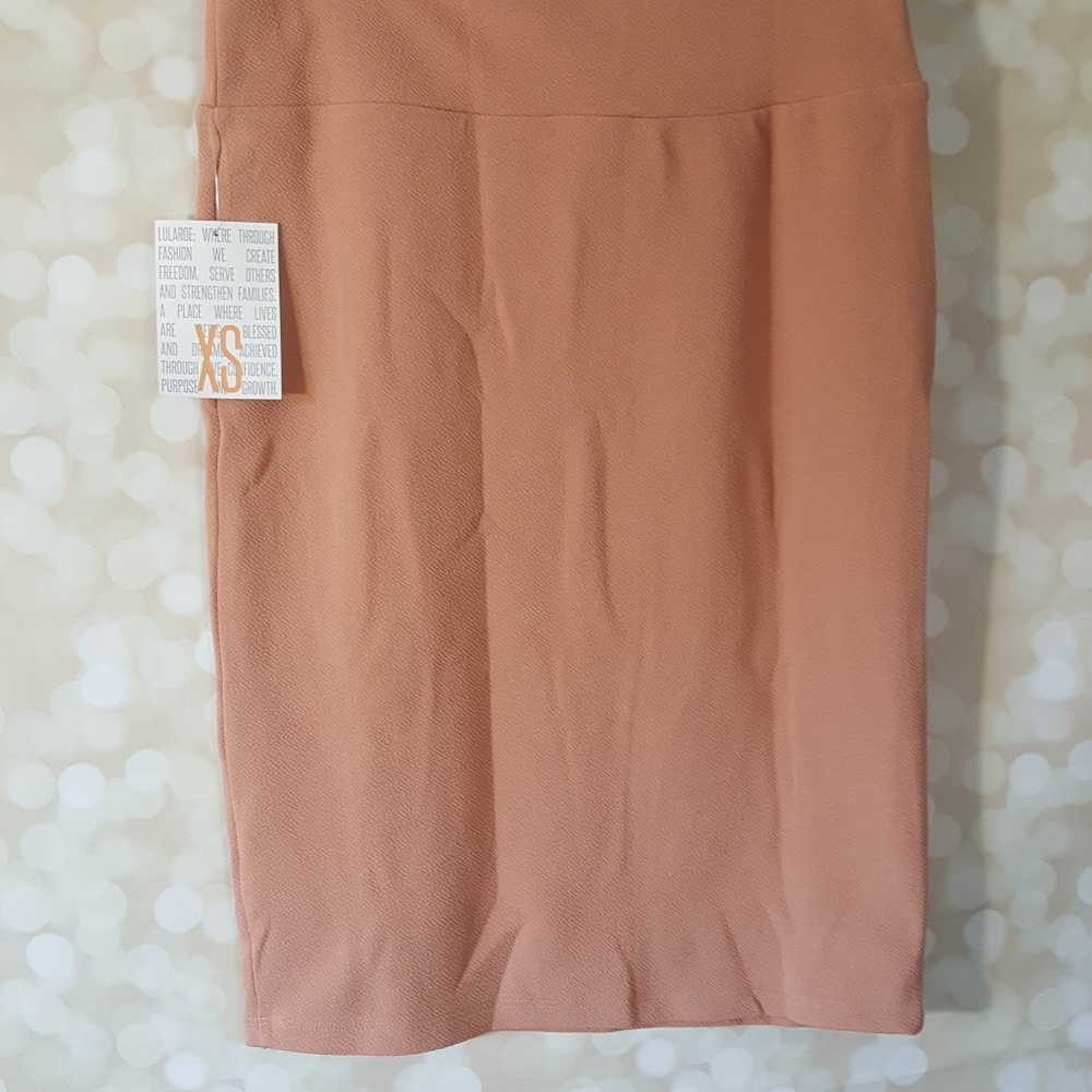 BNWT Cassie Pencil Skirt Pale Pink XS